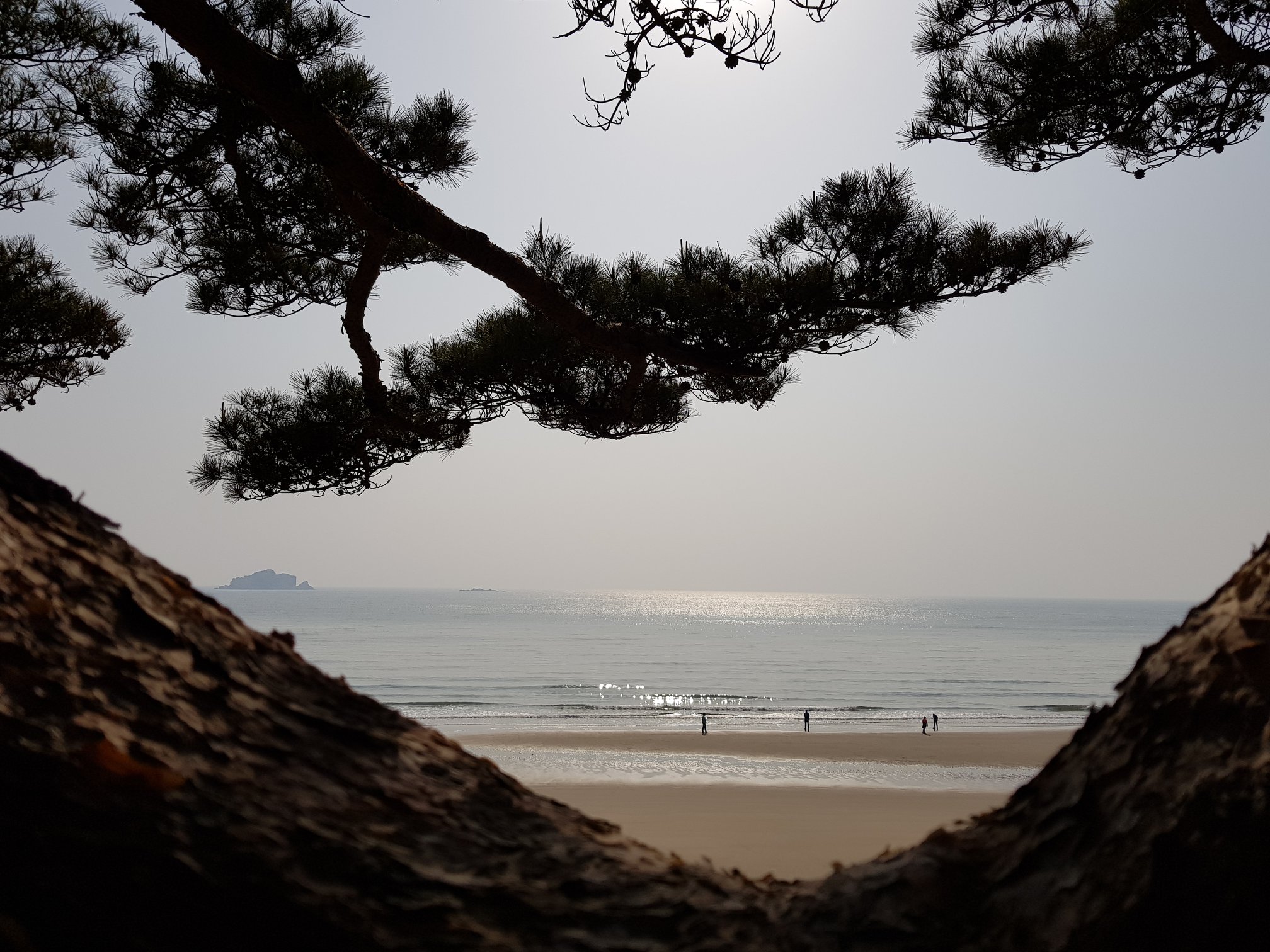 대청도 사진 3